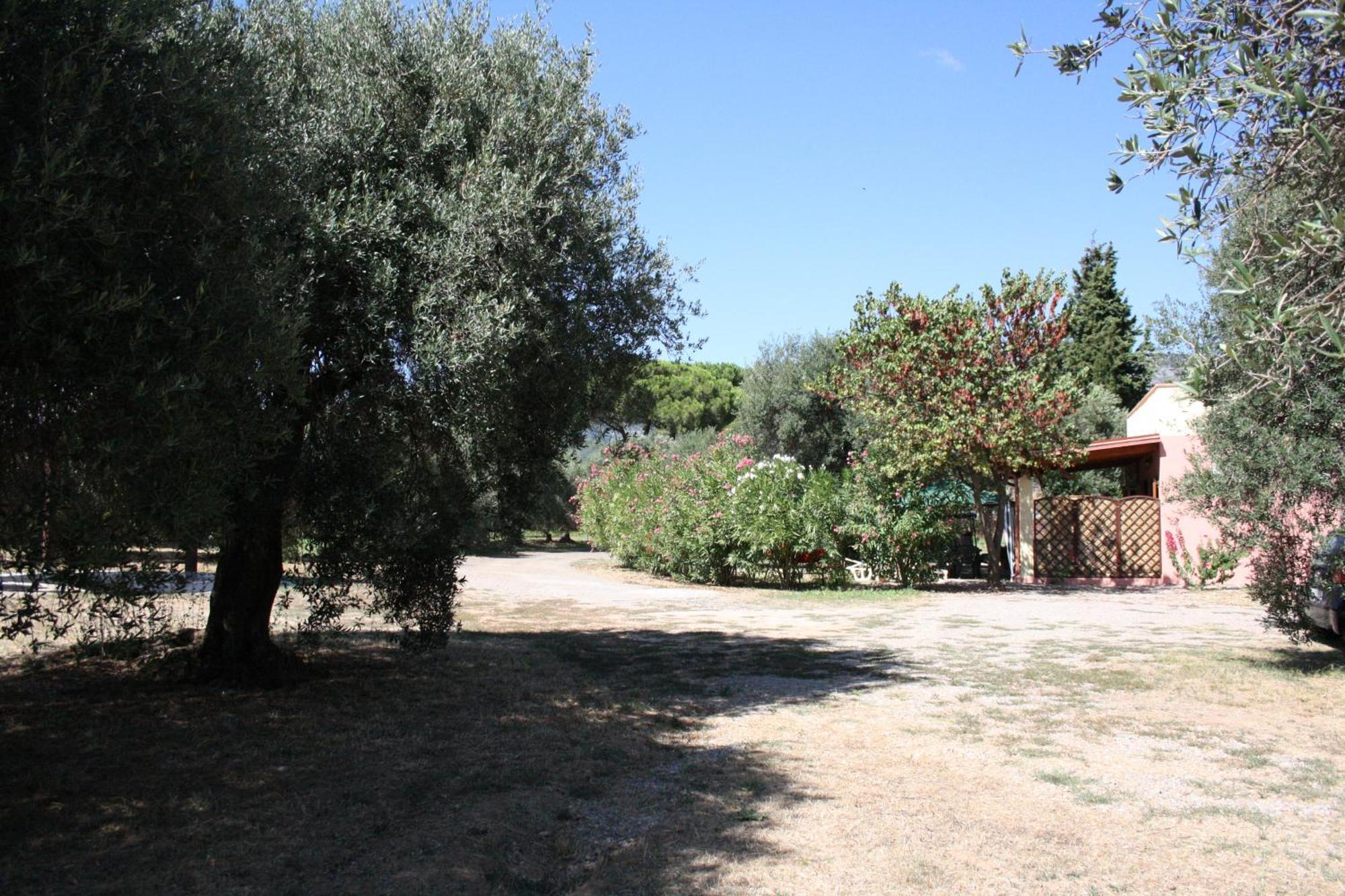 Casa L' Antico Ulivo Apartman Iglesias Kültér fotó