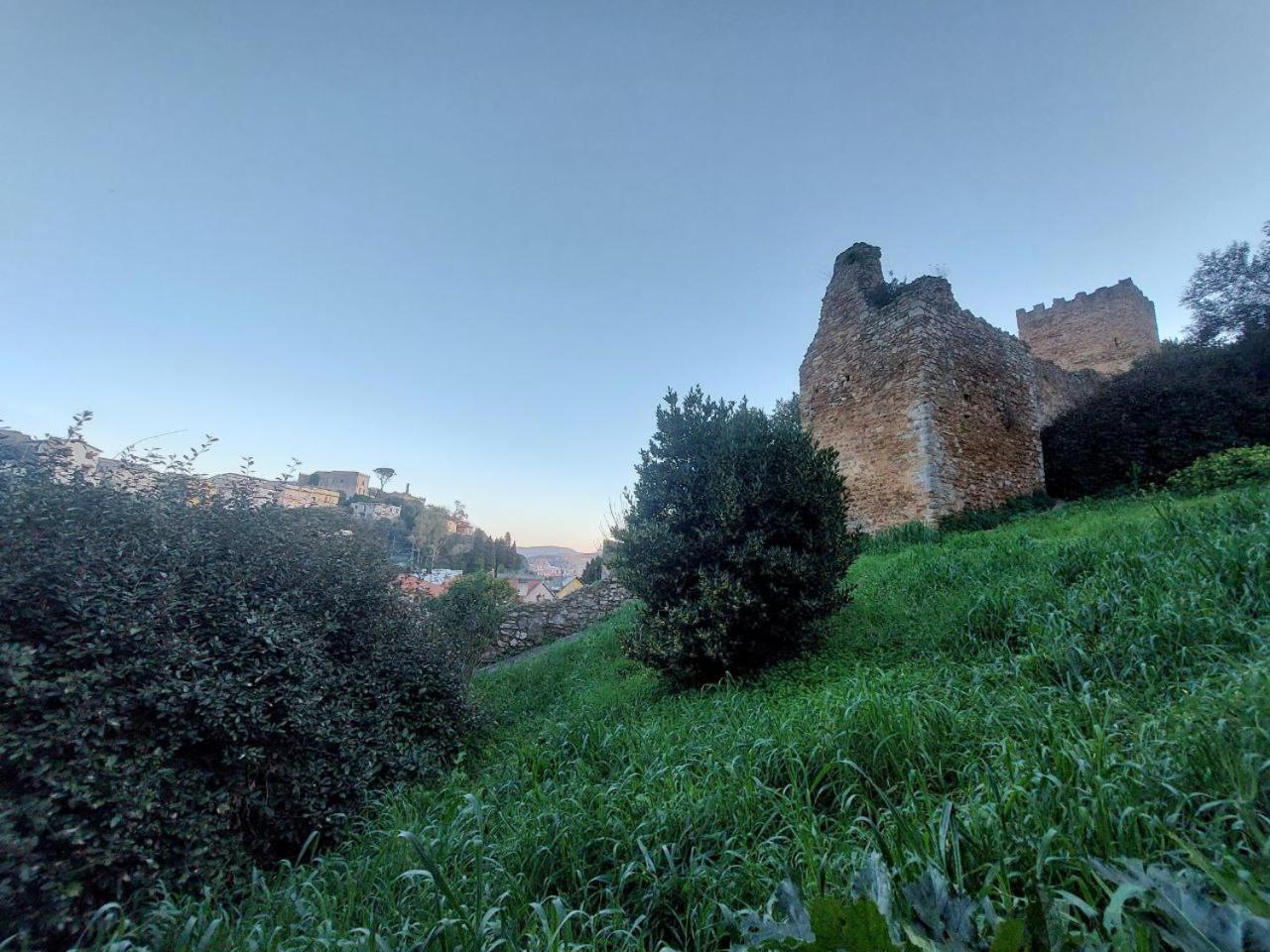 Casa L' Antico Ulivo Apartman Iglesias Kültér fotó