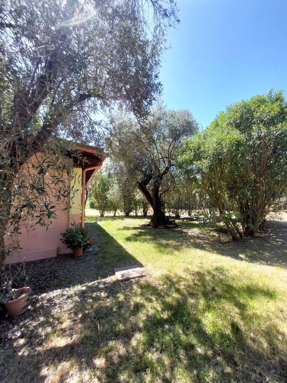 Casa L' Antico Ulivo Apartman Iglesias Kültér fotó