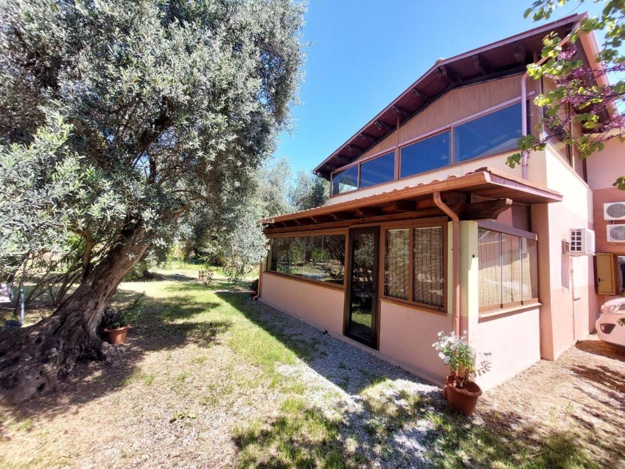 Casa L' Antico Ulivo Apartman Iglesias Kültér fotó